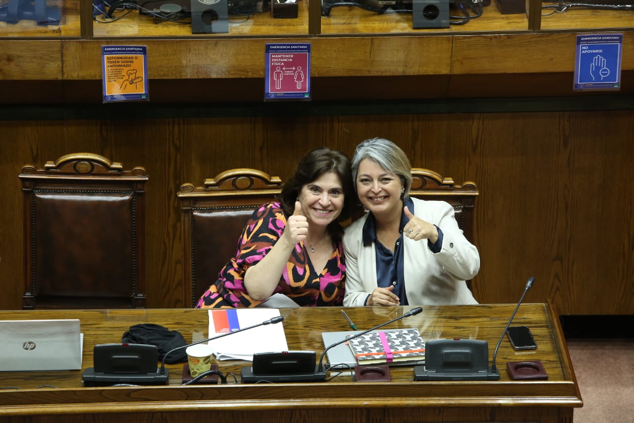 Congreso despacha a ley proyecto del Gobierno que extiende el Permiso Posnatal Parental hasta el 31 de diciembre